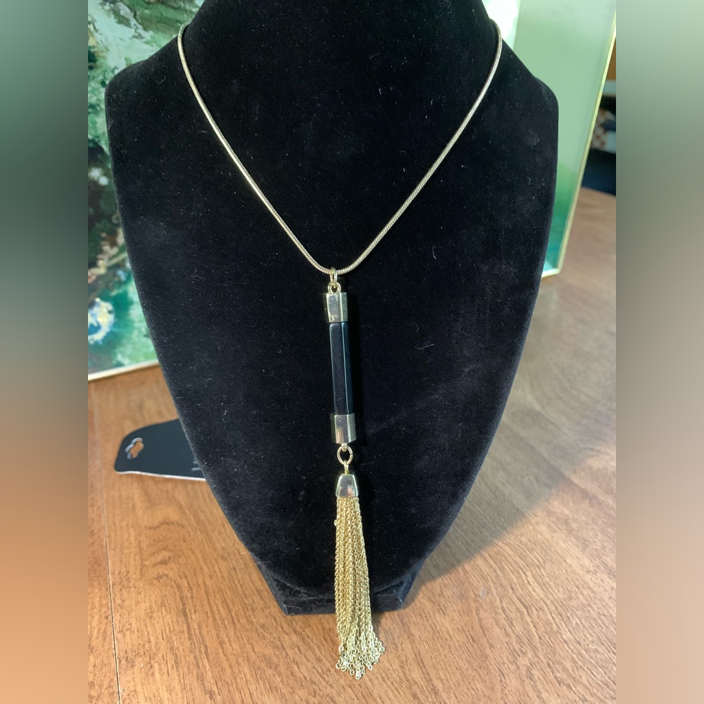 Long Goldtone Snakelike Chain With Black Stone Tassel Necklace